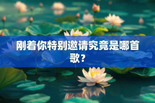 刚着你特别邀请究竟是哪首歌？