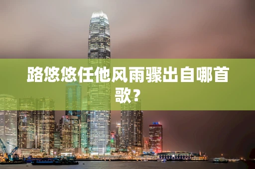 路悠悠任他风雨骤出自哪首歌？