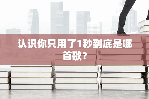 认识你只用了1秒到底是哪首歌？
