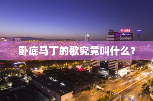 卧底马丁的歌究竟叫什么？