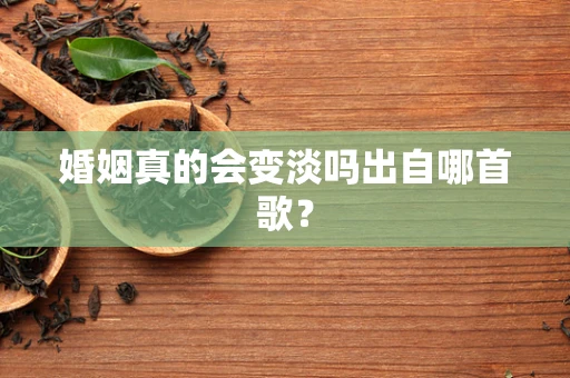 婚姻真的会变淡吗出自哪首歌？