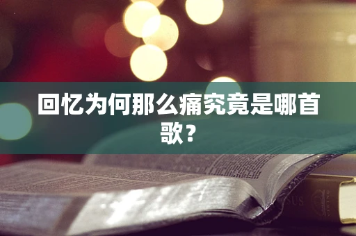 回忆为何那么痛究竟是哪首歌？