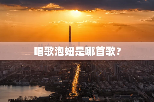 唱歌泡妞是哪首歌？