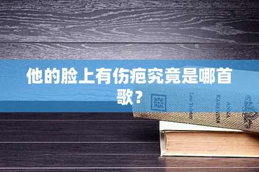 他的脸上有伤疤究竟是哪首歌？