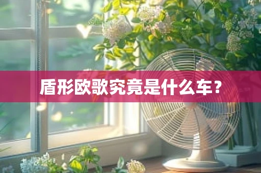 盾形欧歌究竟是什么车？