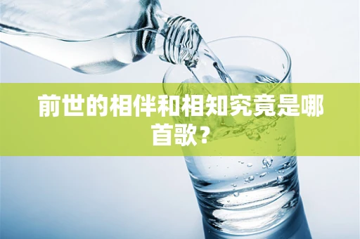前世的相伴和相知究竟是哪首歌？