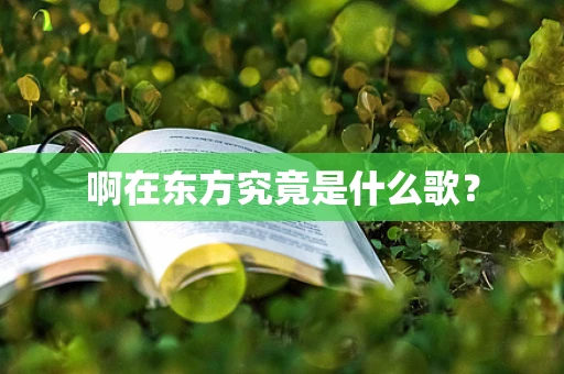 啊在东方究竟是什么歌？