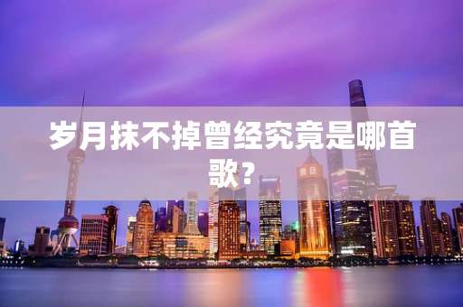岁月抹不掉曾经究竟是哪首歌？