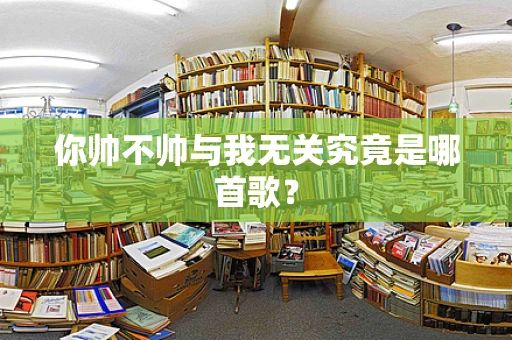 你帅不帅与我无关究竟是哪首歌？