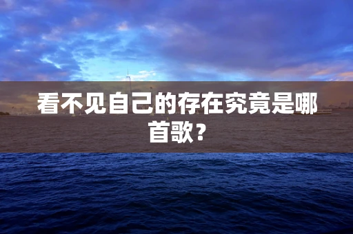 看不见自己的存在究竟是哪首歌？