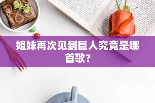 姐妹再次见到巨人究竟是哪首歌？