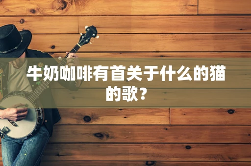 牛奶咖啡有首关于什么的猫的歌？