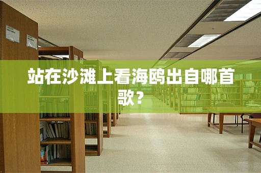 站在沙滩上看海鸥出自哪首歌？