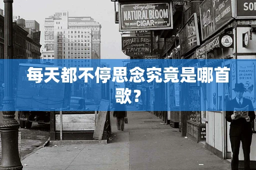 每天都不停思念究竟是哪首歌？