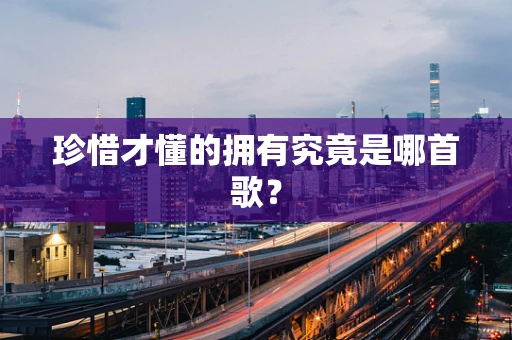 珍惜才懂的拥有究竟是哪首歌？
