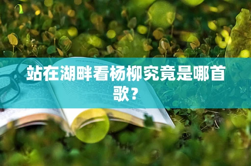 站在湖畔看杨柳究竟是哪首歌？