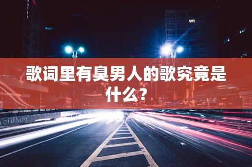歌词里有臭男人的歌究竟是什么？
