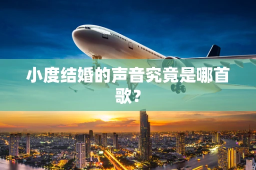 小度结婚的声音究竟是哪首歌？
