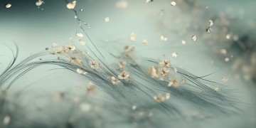 一曲戏歌阑珊的歌名究竟是什么？