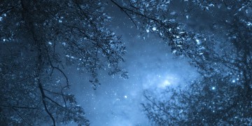 每当夜深人静的时候出自哪首歌？