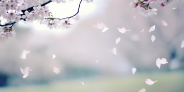 你要且行且珍惜出自哪首歌？