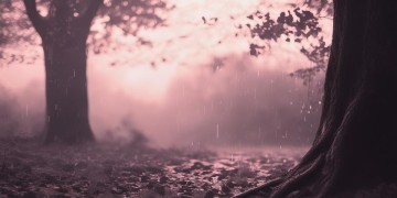 与其的雨到底是什么歌？