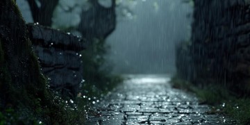 昨夜雨打风霜究竟是哪首歌？