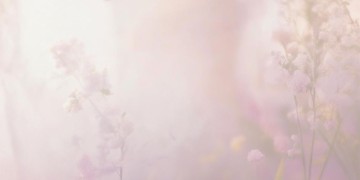 就想抱着你的腰这句歌词出自哪首歌？