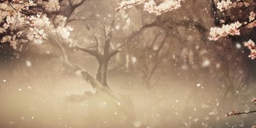 前世今生为你守候究竟是哪首歌？