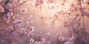春烟生花弥漫出自什么歌？