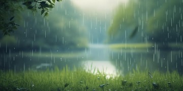 我的所有风里雨里出自哪首歌？