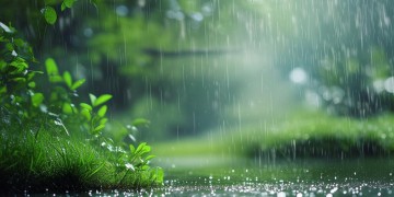 风去春来细雨绵绵出自哪首歌？