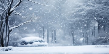 洁白的雪下个不停究竟是哪首歌？