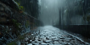 在冷雨中漫步出自哪首歌？