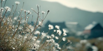 我为你同往出自哪首歌？