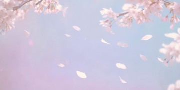 因为你快乐就好出自哪首歌？