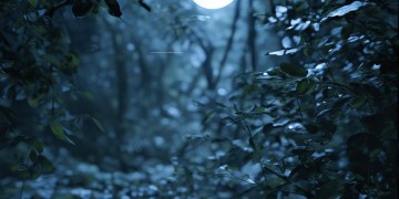 月亮赐给我的温柔究竟是哪首歌？
