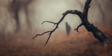 恐惧是彻底的虚妄出自哪首歌？