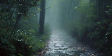 今天的雨水有点苦究竟是哪首歌？