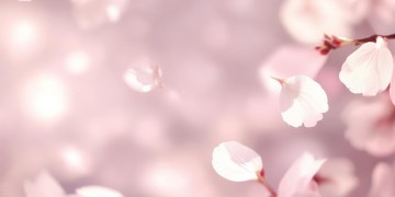 我想你了开心就好出自哪首歌？