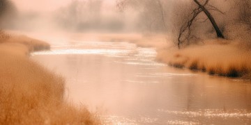 怀揣尘埃落地究竟是哪首歌？