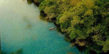 你真的不配出自哪首歌？