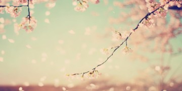 因为我不在乎别人怎么说出自哪首歌？