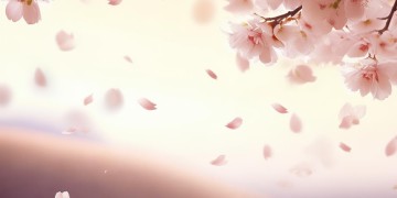 也许没有如果是哪首歌的歌词？