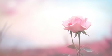 思念把我紧紧围绕究竟是哪首歌？
