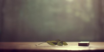 生命中的理所当然究竟是哪首歌？