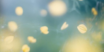 把温柔都留给黄明昊出自哪首歌？