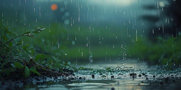 我想念时掉下的雨出自哪首歌？