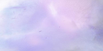 全世界我也可以忘记出自哪首歌？