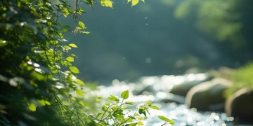 刀郎的声音适合唱什么类型的歌？